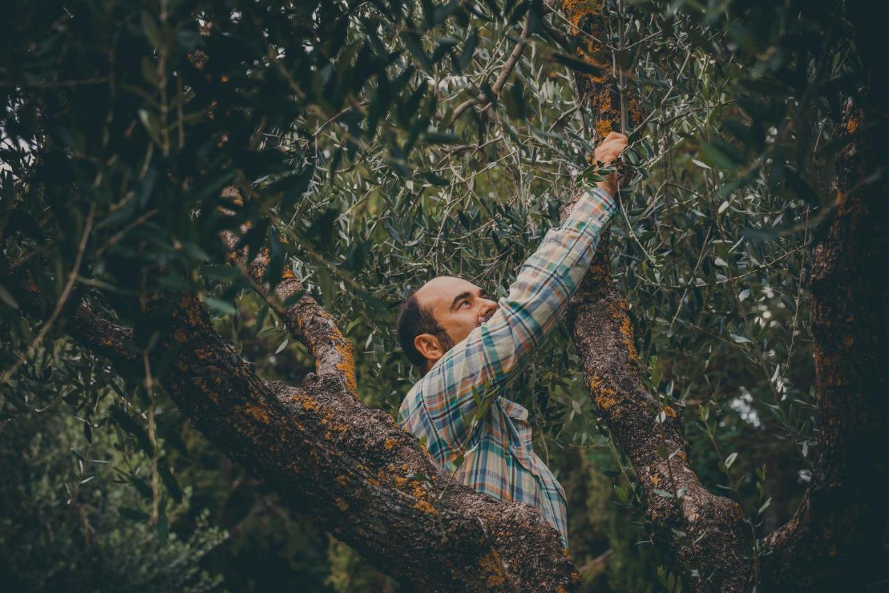 Agriturismo Buonasera باغنوريغيو المظهر الخارجي الصورة