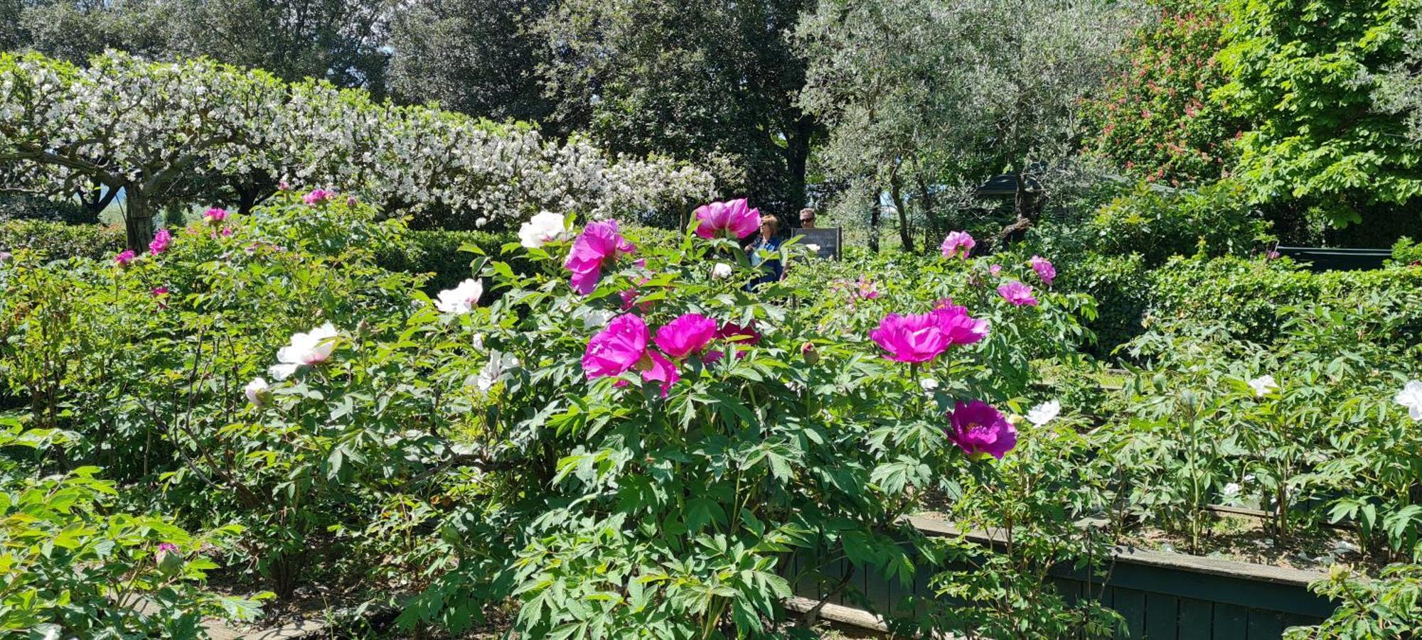 Agriturismo Buonasera باغنوريغيو المظهر الخارجي الصورة